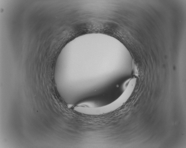 X0000062851153200602031620