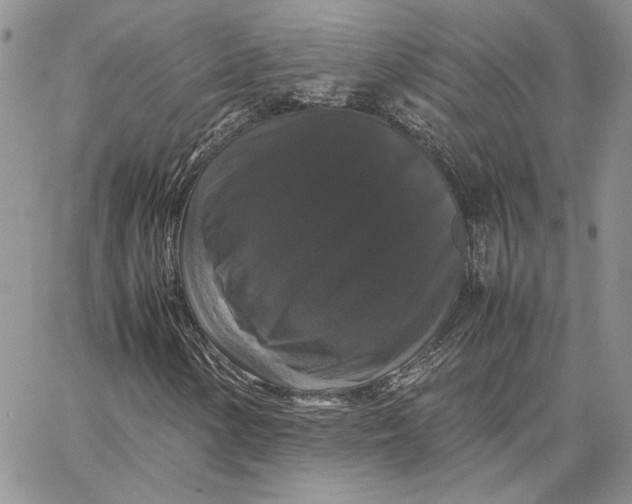X0000062851154200602031620