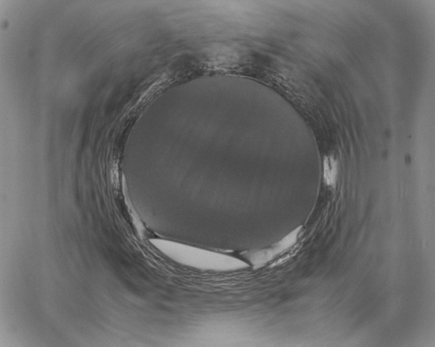 X0000062851155200602031619