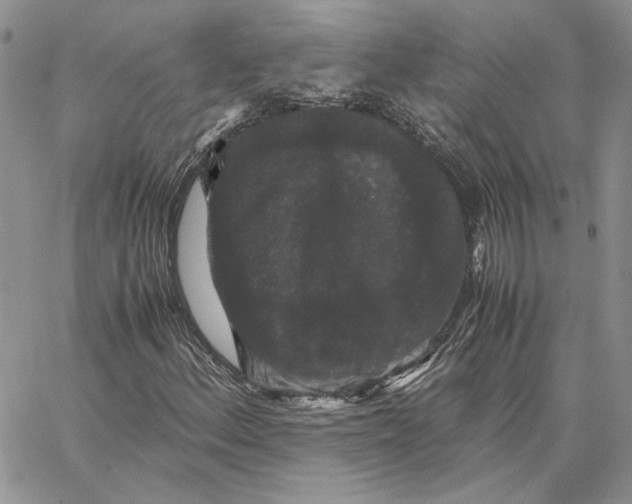 X0000062851156200602031619