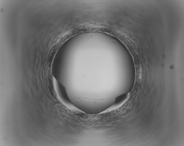 X0000062851157200602031619