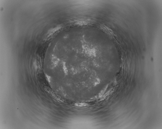 X0000062851158200602031619