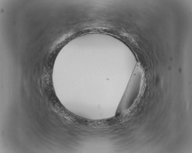 X0000062851159200602031619