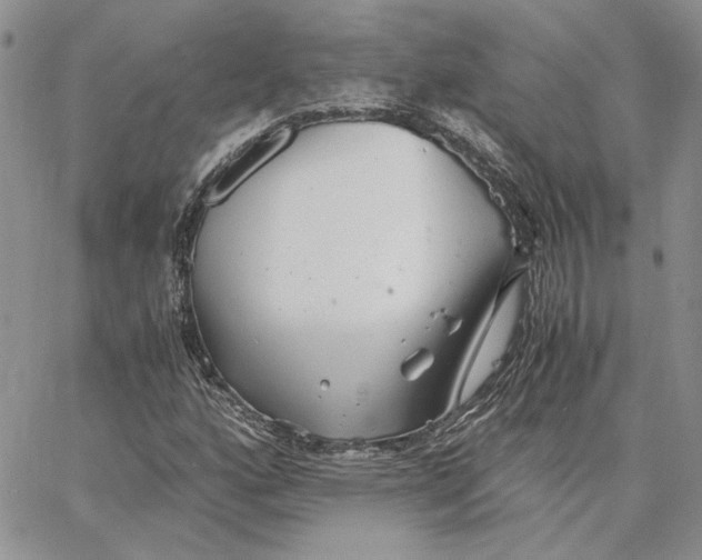 X0000062851160200602031619