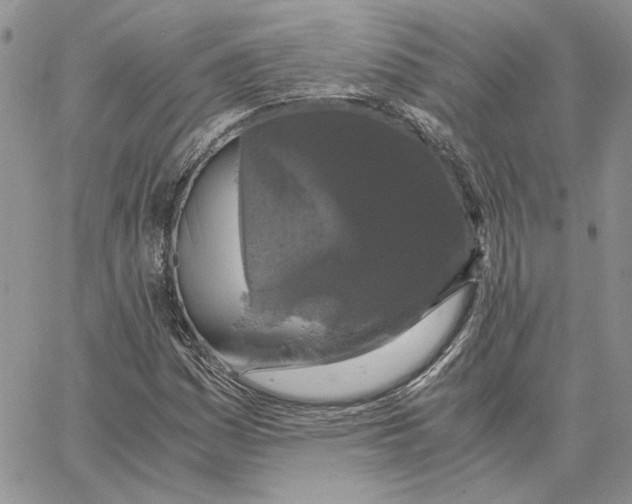 X0000062851161200602031619