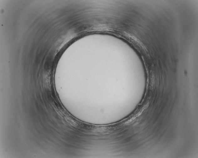 X0000062851162200602031619