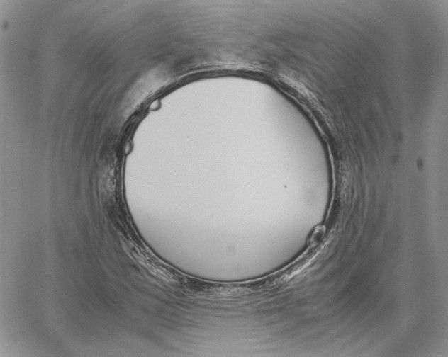 X0000062851163200602031619