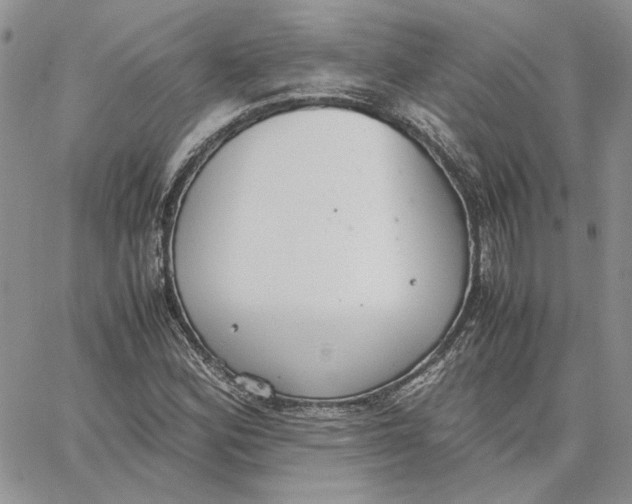 X0000062851164200602031619