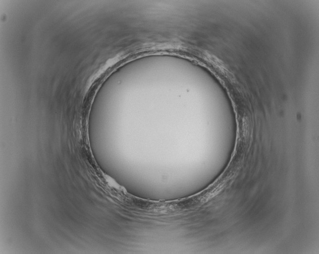 X0000062851165200602031619