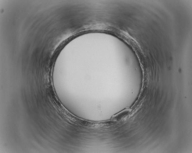 X0000062851166200602031619