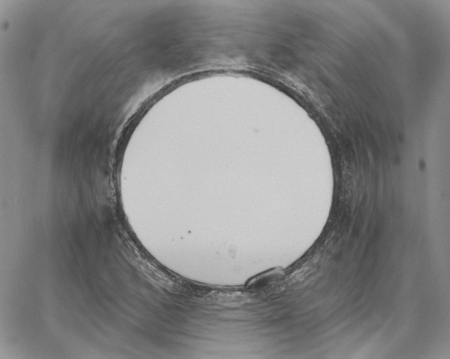 X0000062851168200602031619