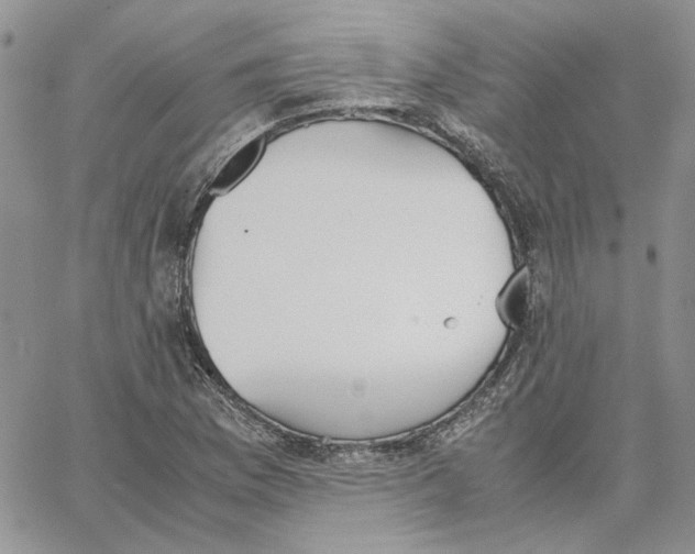 X0000062851169200602031619