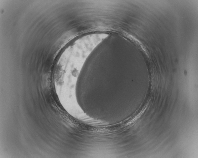 X0000062851170200602031619