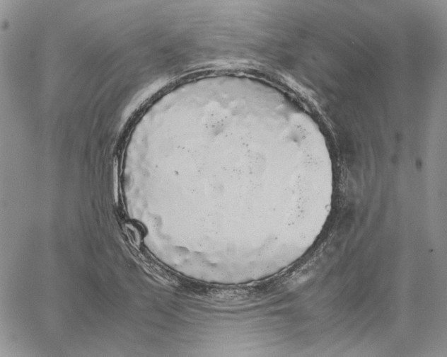 X0000062851171200602031619