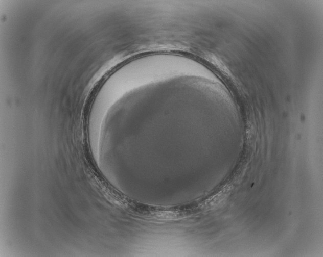 X0000062851173200602031619