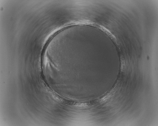 X0000062851174200602031619