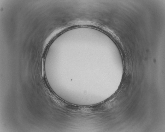 X0000062851175200602031619