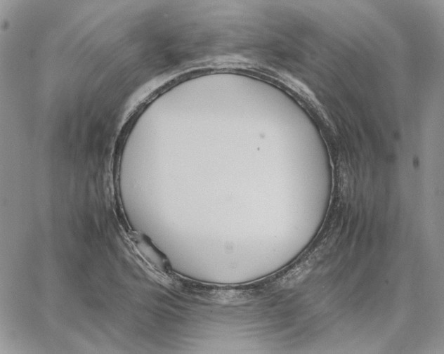 X0000062851176200602031619