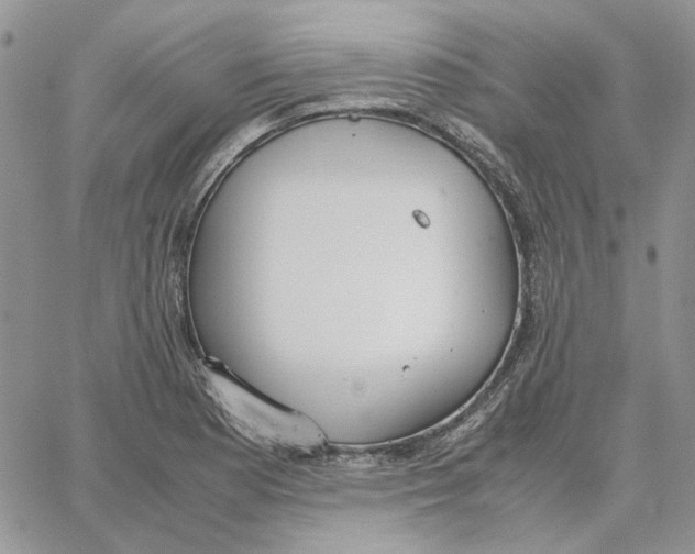 X0000062851177200602031619