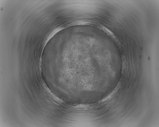 X0000062851178200602031619