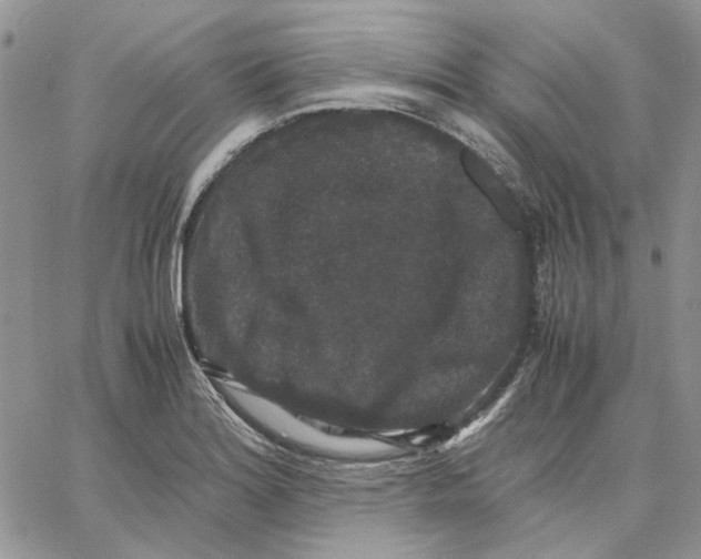 X0000062851180200602031619