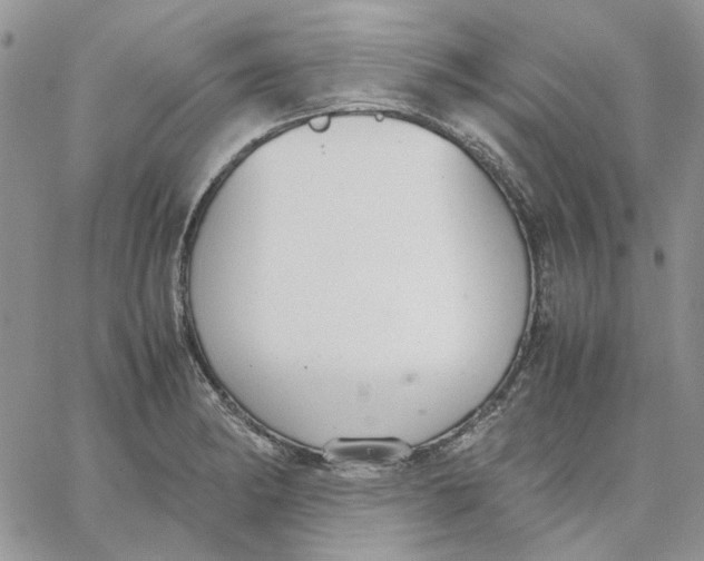 X0000062851182200602031619