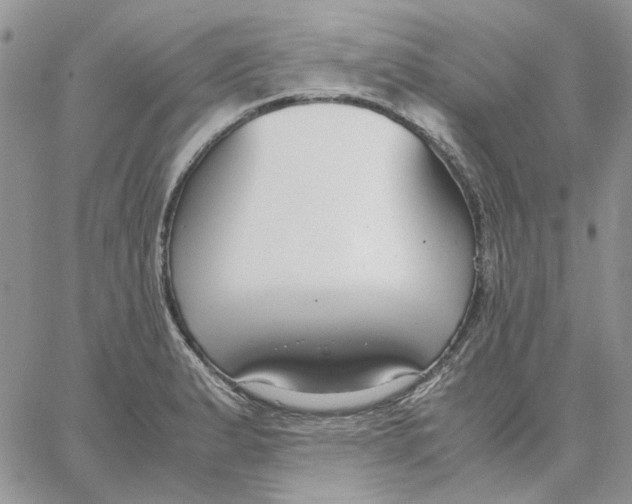 X0000062851183200602031619