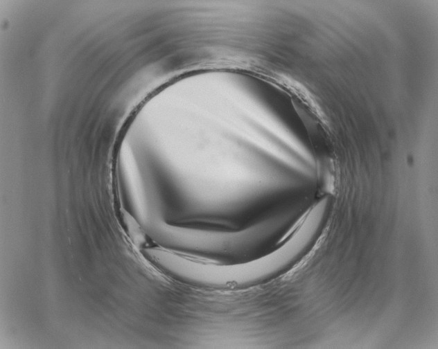 X0000062851184200602031619