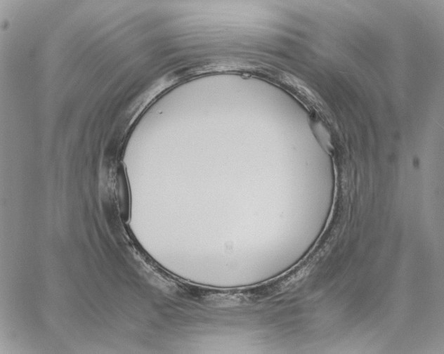 X0000062851185200602031619