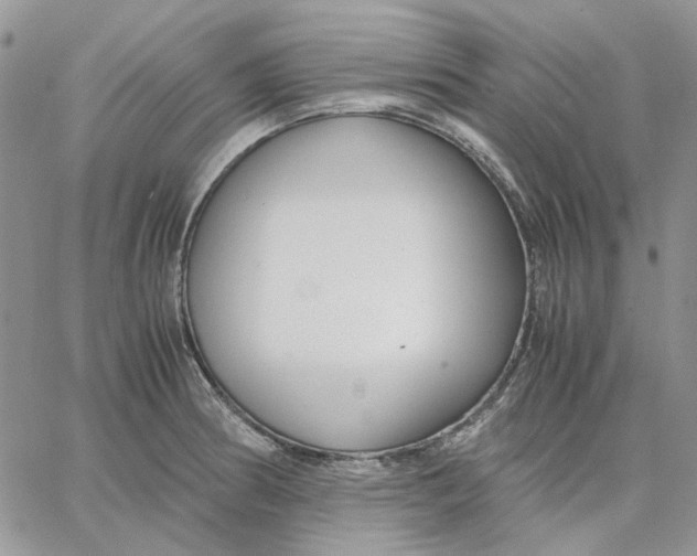 X0000062851186200602031619