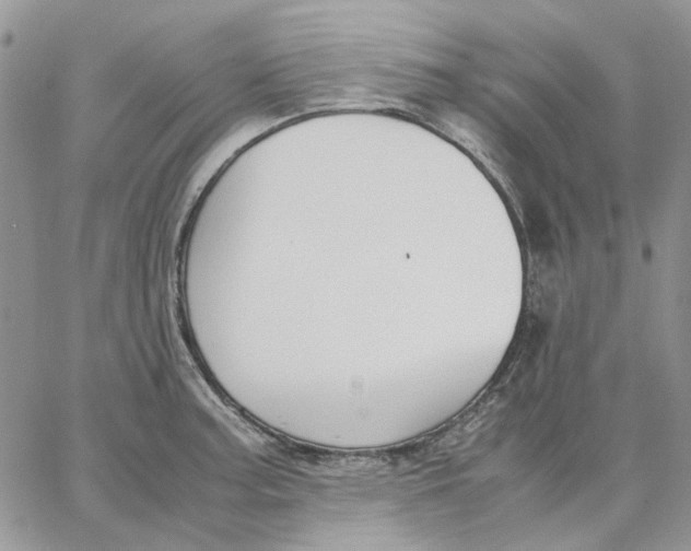 X0000062851187200602031619