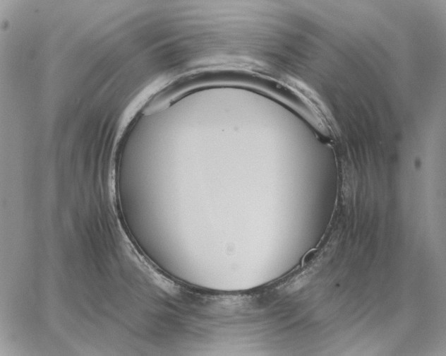 X0000062851188200602031619