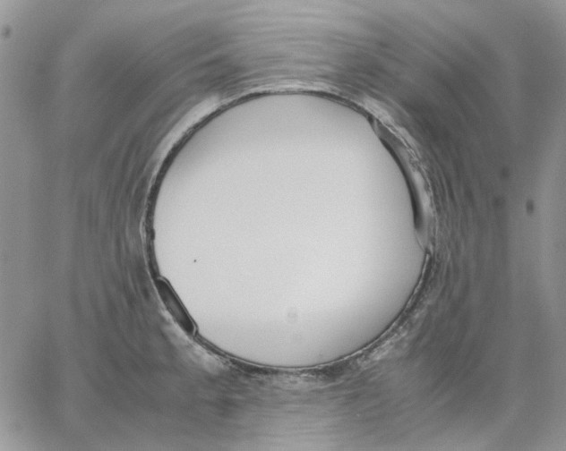 X0000062851189200602031619