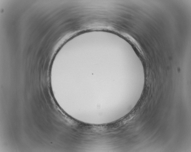 X0000062851191200602031619