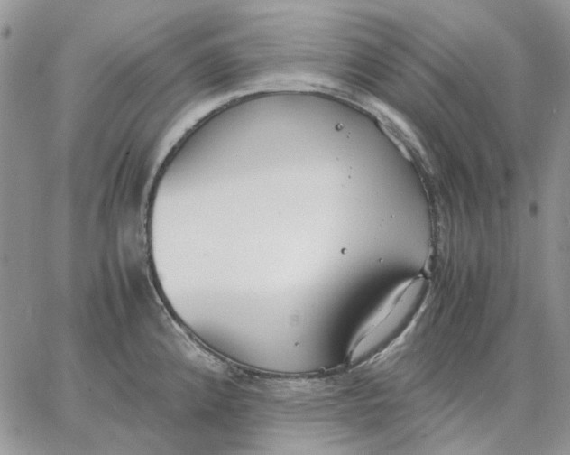 X0000062851192200602031619