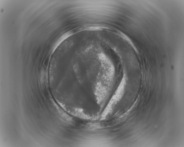 X0000062851194200602031619