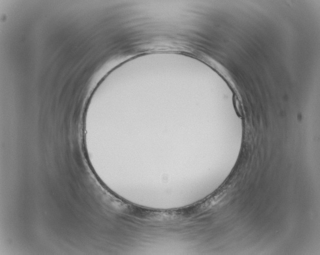 X0000062851195200602031619