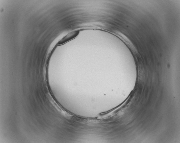 X0000062851196200602031619