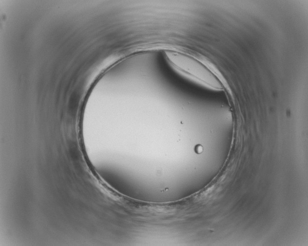 X0000062851197200602031619