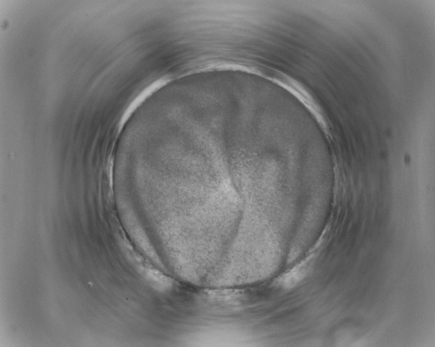 X0000062851198200602031619