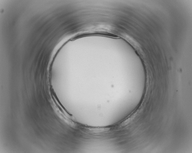 X0000062851200200602031619