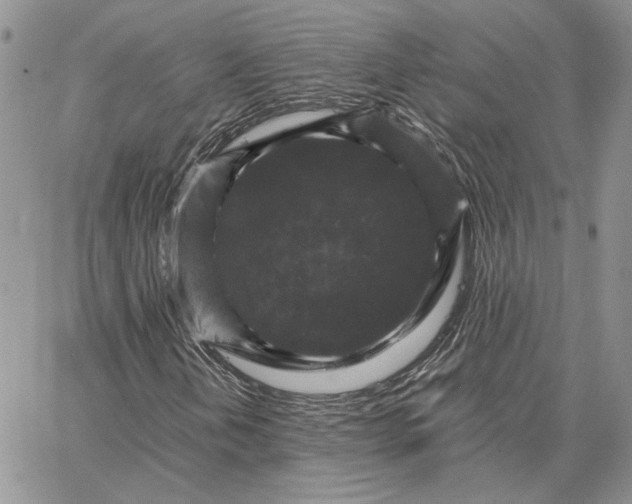 X0000062851202200602031618