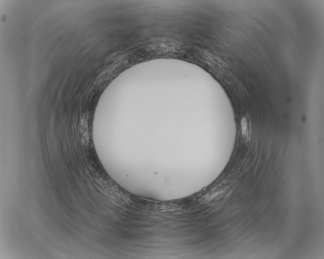 X0000062851203200602031618