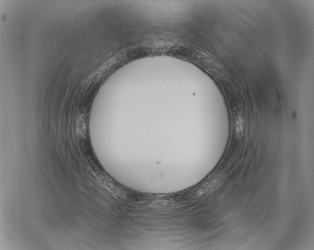 X0000062851204200602031618