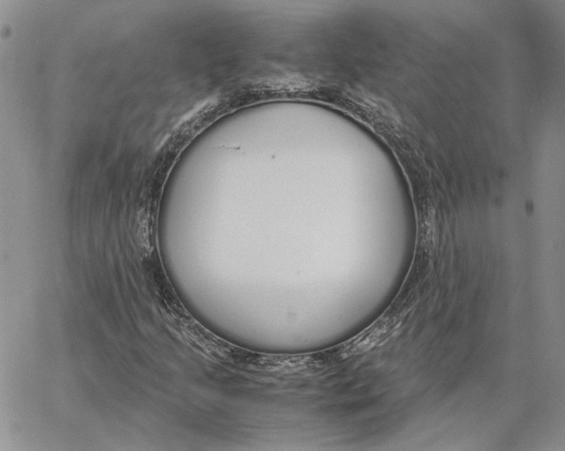 X0000062851205200602031618