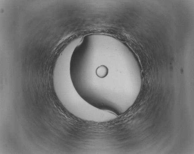 X0000062851206200602031618