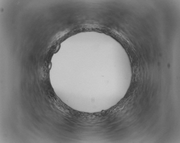 X0000062851207200602031618