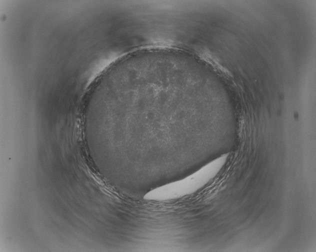 X0000062851208200602031618