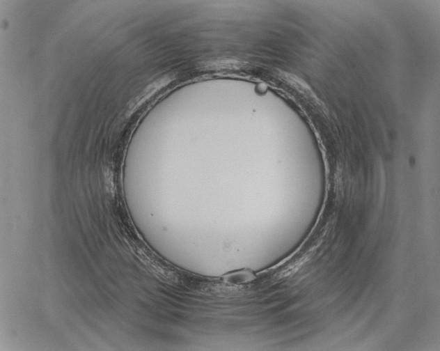 X0000062851209200602031618