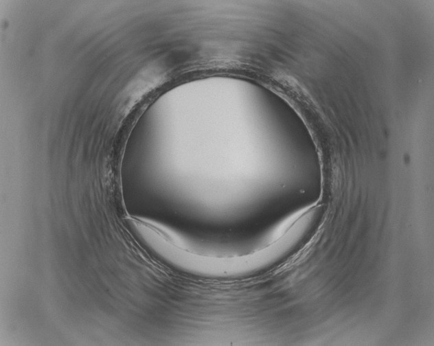 X0000062851210200602031618